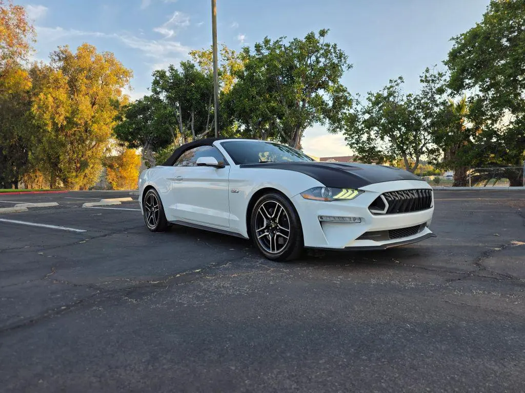 2019 Ford Mustang GT Premium