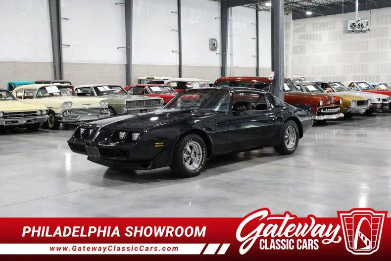 1981 Pontiac Firebird Trans Am