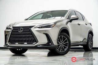 2025 Lexus NX 250 Base