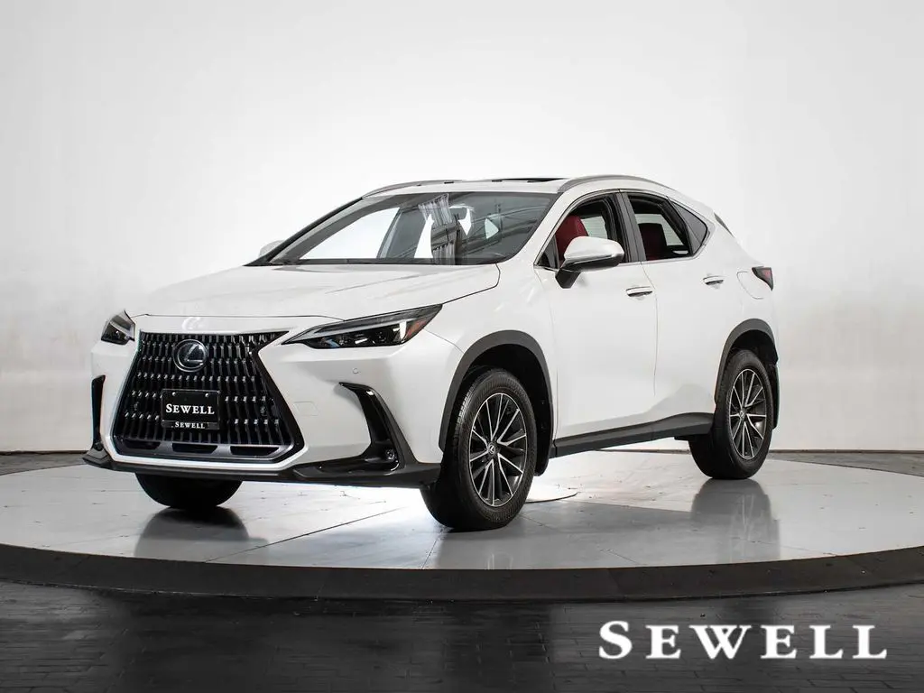 2025 Lexus NX 250 Premium