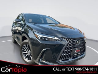 2024 Lexus NX 250 Premium