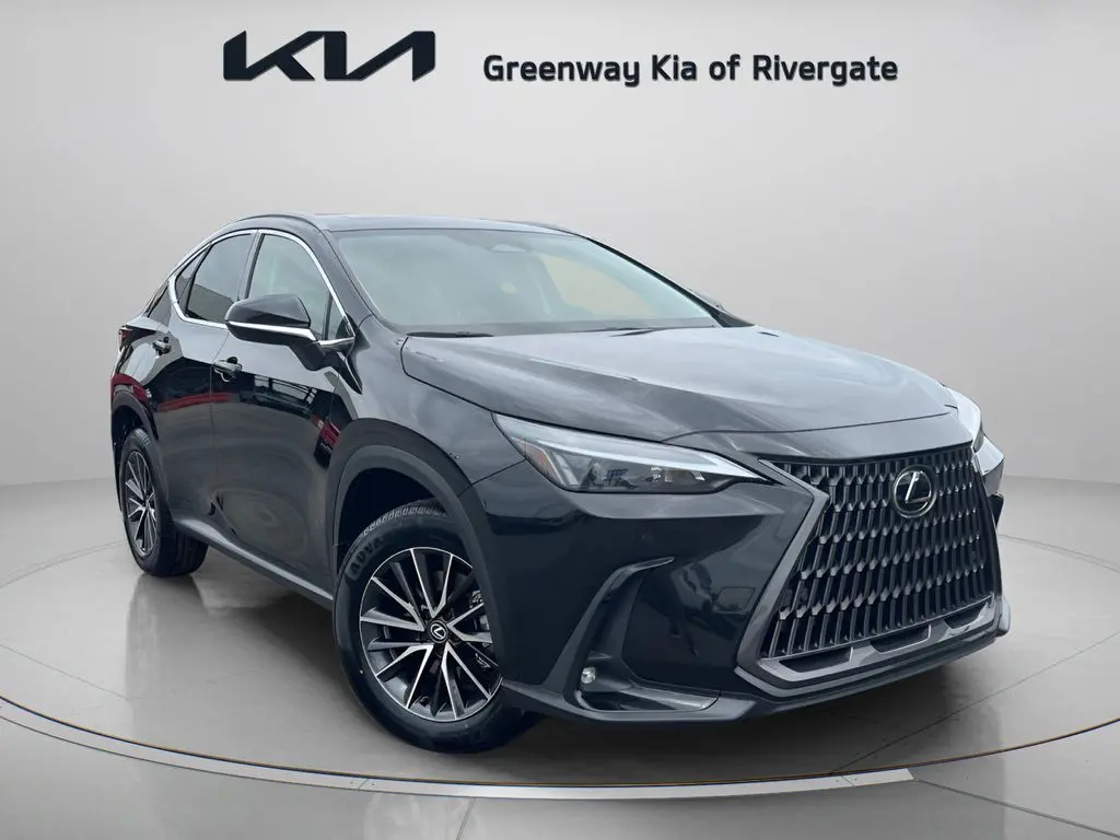 2024 Lexus NX 250 Premium