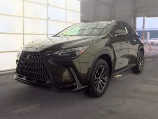 2024 Lexus NX 250 Premium