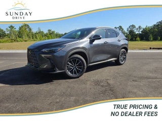 2025 Lexus NX 250 Premium