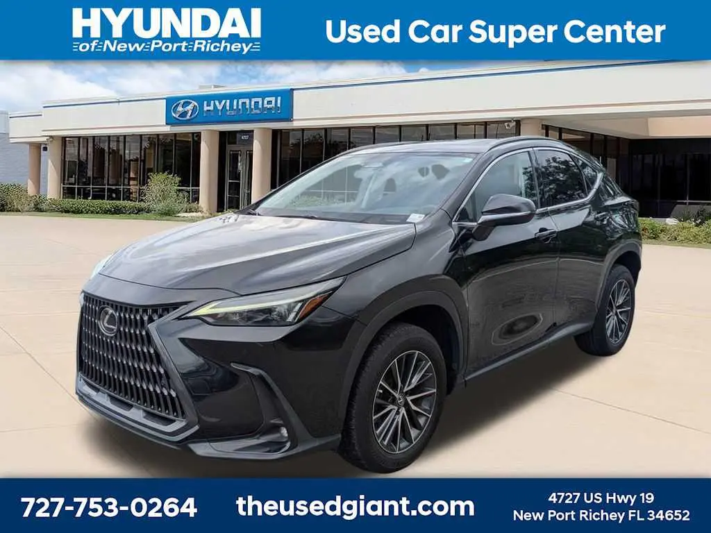 2023 Lexus NX 250 Premium