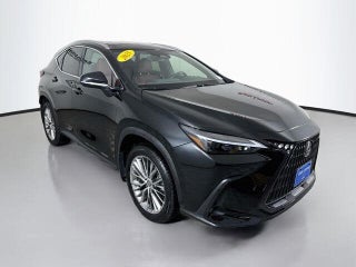2025 Lexus NX 350 Premium