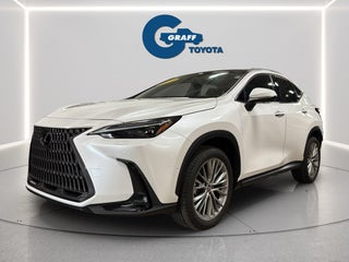 2024 Lexus NX 350h Luxury