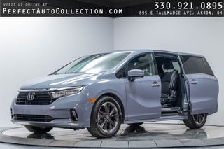 2024 Honda Odyssey Elite