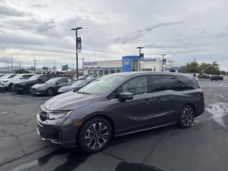 2026 Honda Odyssey Elite