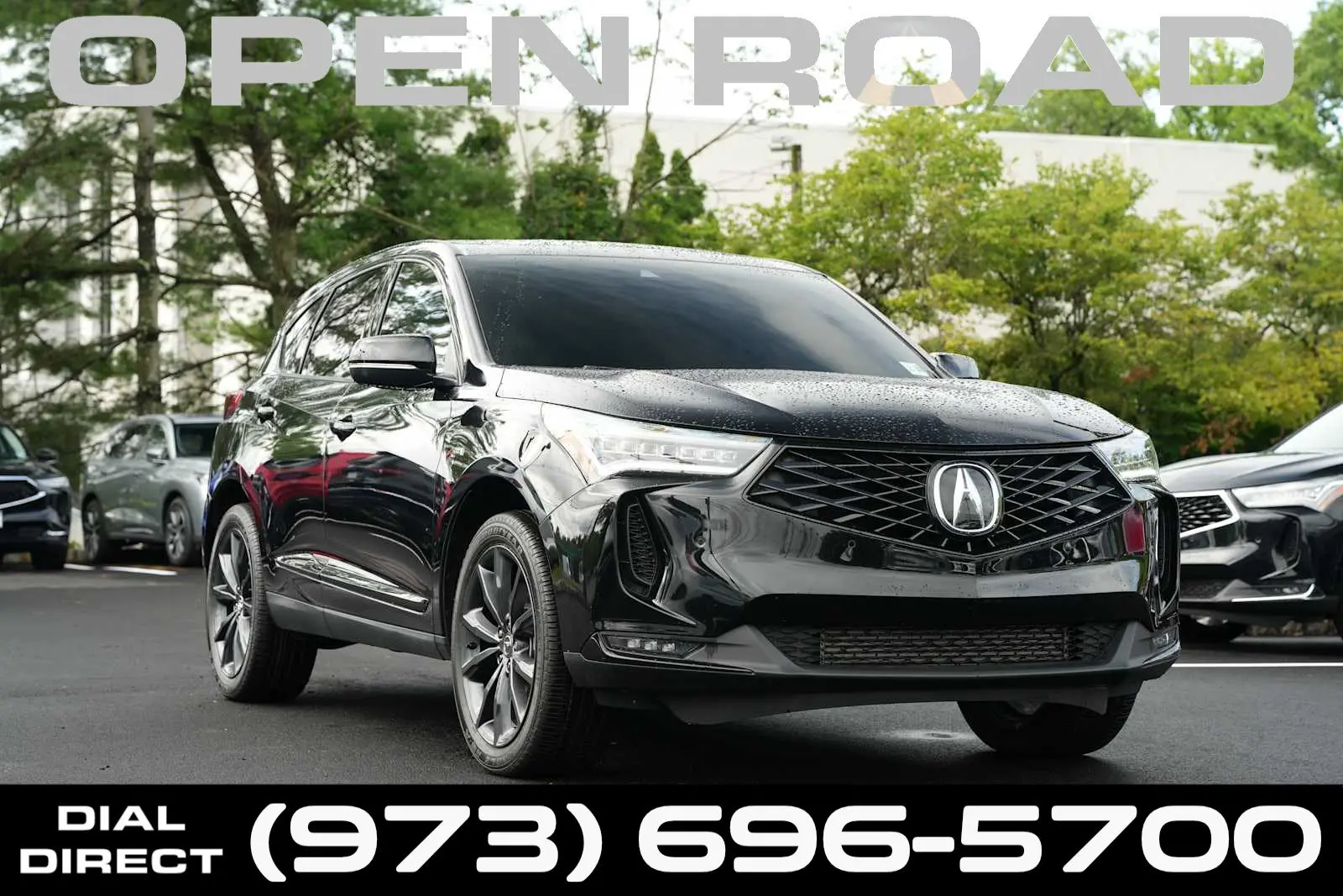 2025 Acura RDX A-Spec