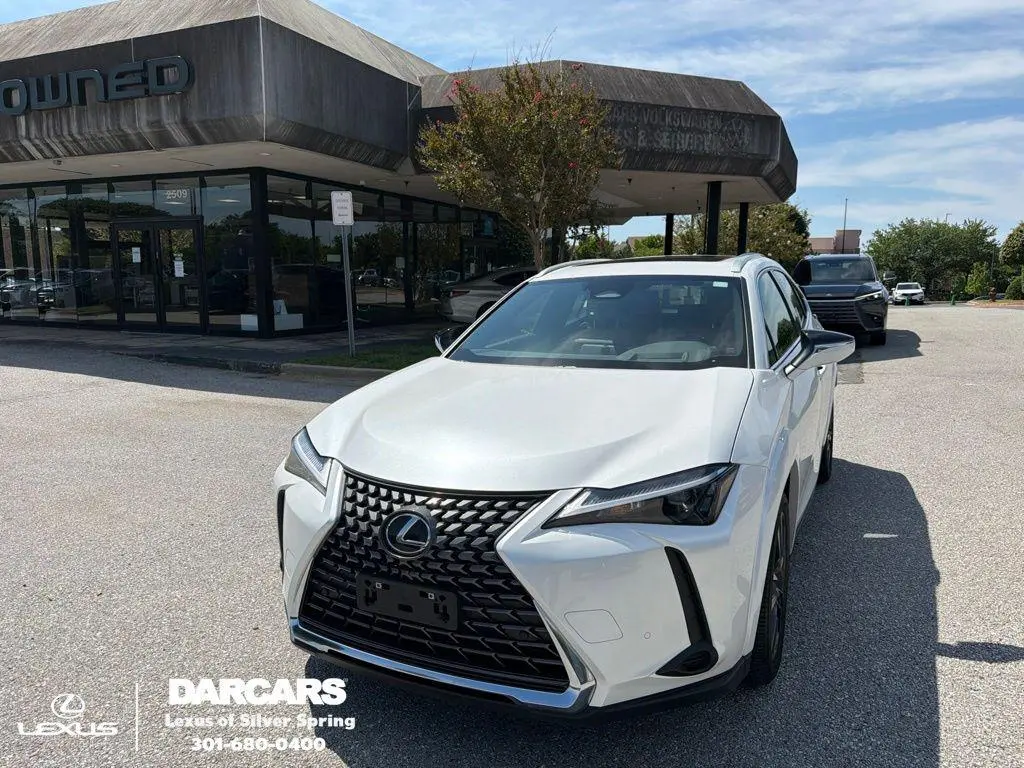 2025 Lexus UX 300h Premium