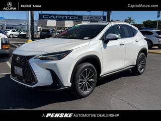 2025 Lexus NX 250 Base