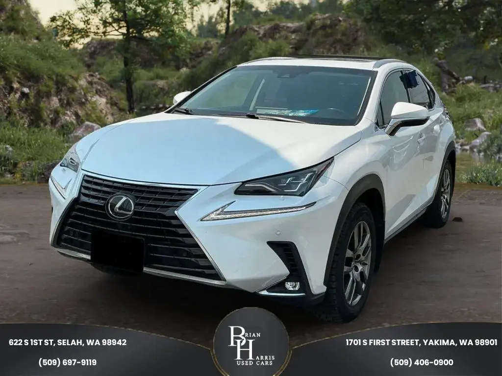 2018 Lexus NX 300 Luxury