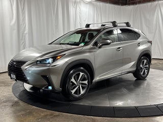 2019 Lexus NX 300 Luxury