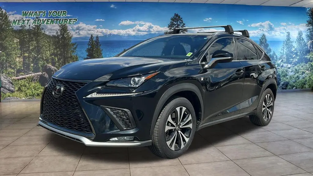 2019 Lexus NX 300 Luxury