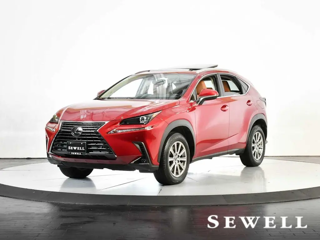 2021 Lexus NX 300 Comfort
