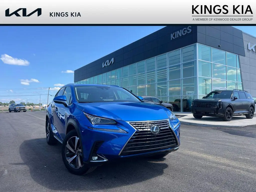 2020 Lexus NX 300 Premium