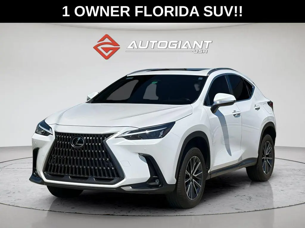 2024 Lexus NX 250 Premium