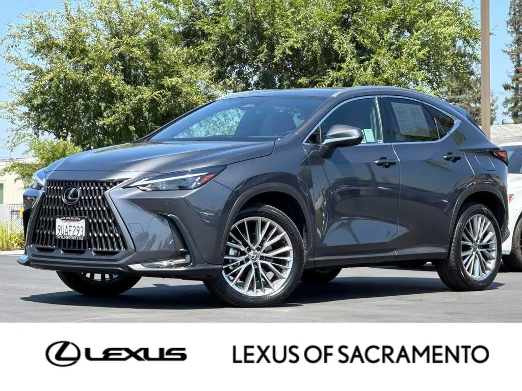 2025 Lexus NX 350 Premium