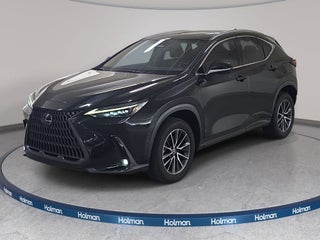 2024 Lexus NX 350h Luxury