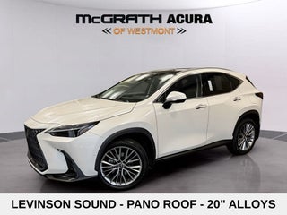 2024 Lexus NX 350h Luxury