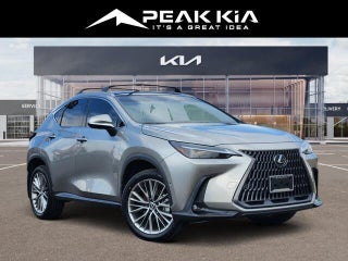 2024 Lexus NX 350h Luxury
